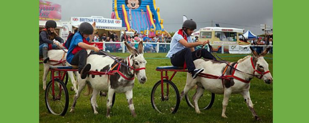 A photograph of children riding on mini carts being led by donkeys
