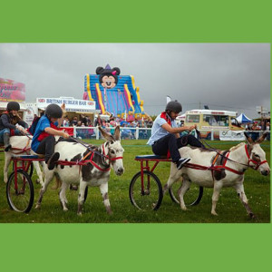 A photograph of children riding on mini carts being led by donkeys 