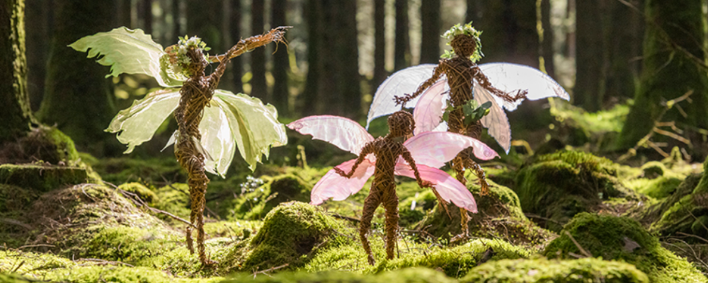 An Enchanted Dragon and Fairy Trail at Boconnoc