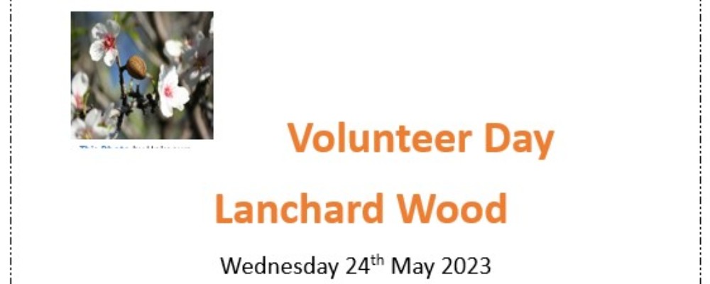 Volunteer Day at Lanchard Wood