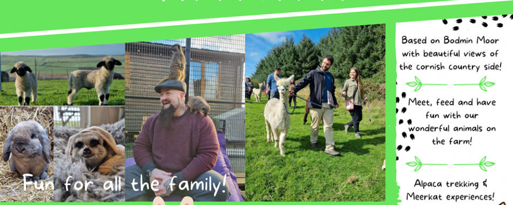Alpaca Trekking Open Weekend