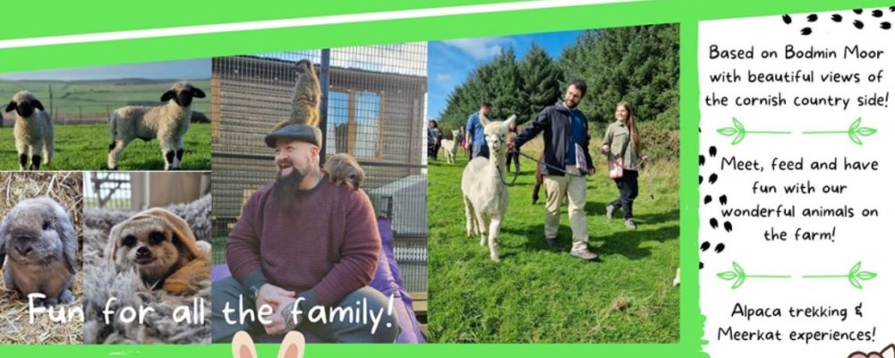 Alpaca Trekking and Farm Park