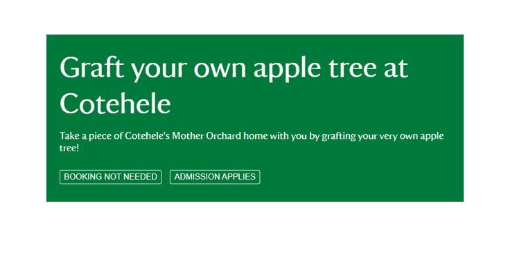 Graft your own apple tree at Cotehele. Take a piece of Cotehele's Mother Orchard home with you by grafting you very own apple tree. Booking not needed. Admission applies