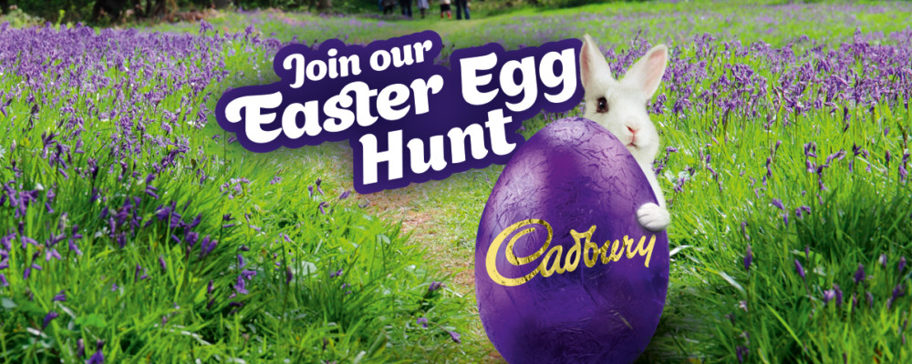 Cadbury Easter Egg Hunt at Cotehele