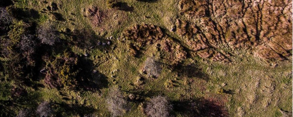 Archaeological Dig Open Day
