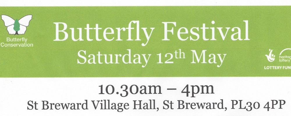 Butterfly Festival