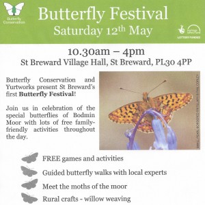 Butterfly Festival poster