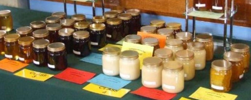 Callington Honey Fair and Country Market