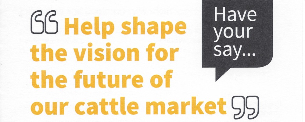 Liskeard Cattle Market Charrette – Public Consultation