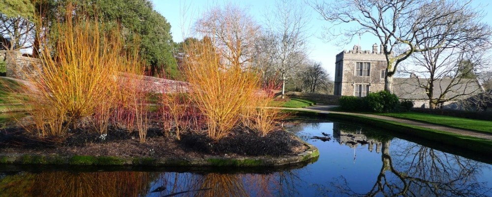 Feed the Birds at Cotehele