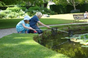 Cotehele events - discover what's in a pond