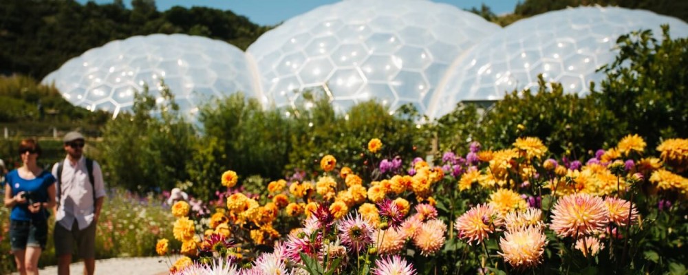 Eden Project Half Term Activities