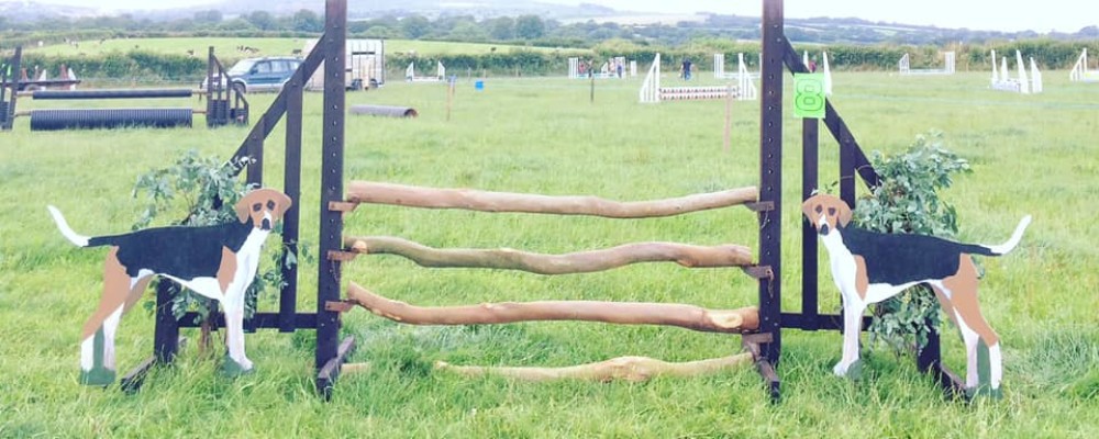 Lamerton Hunt, Horse Show, Gymkhana and Dog Show