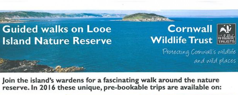 Guided Walk on Looe Island Nature Reserve