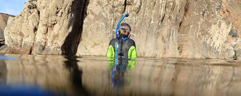 Looe Snorkel Safari