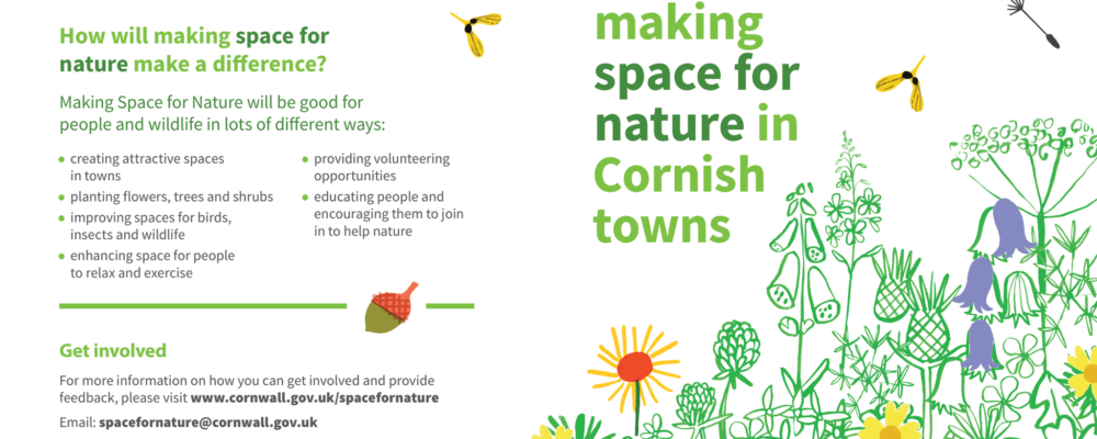 Making Space for Nature – Jay Day at Lanchard Woods