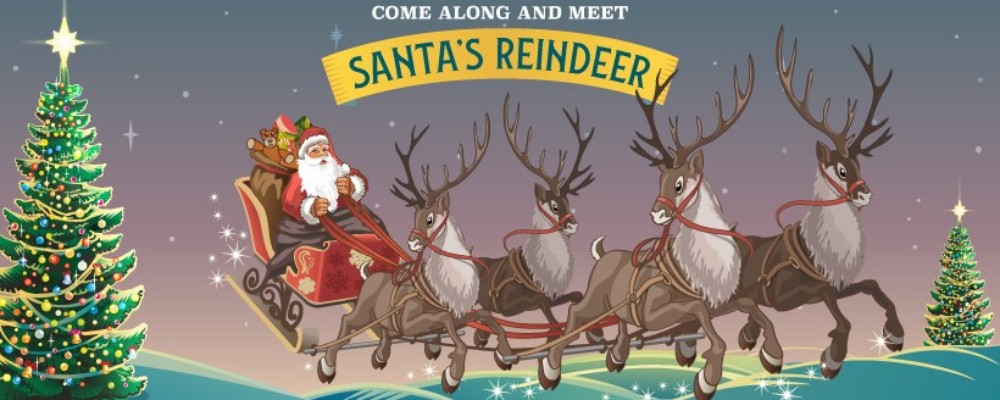 Meet Santa’s reindeer