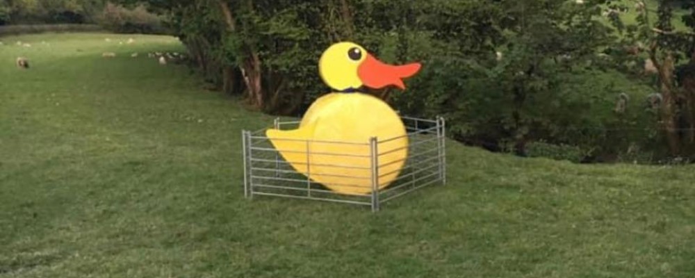 Menheniot Cherry Fayre Duck Race