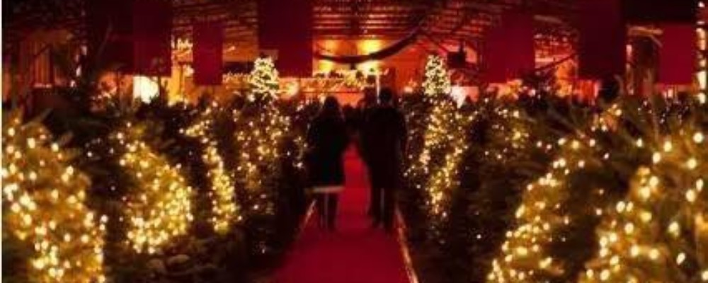 Menheniot Christmas Tree Festival
