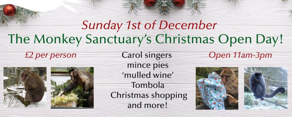 Monkey Sanctuary Open Day