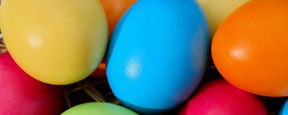 Mount Edgcumbe Easter Egg Hunt