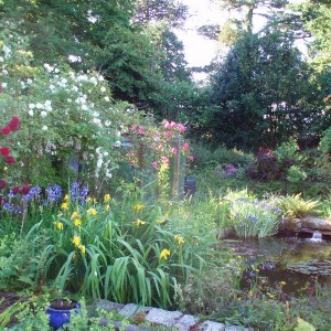 Moyclare Garden
