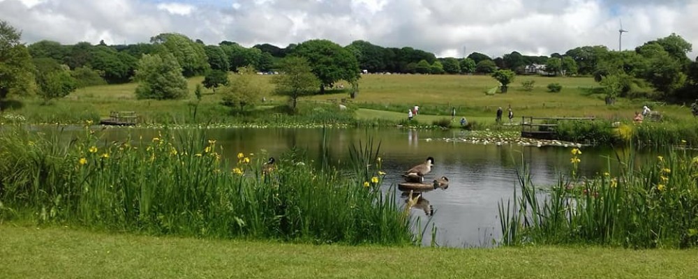LETHYTEP OPEN GARDEN IN SUPPORT OF THE LISKEARD BRITISH HEART FOUNDATION