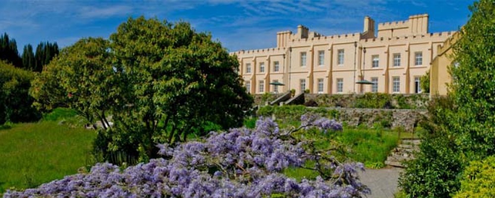 Garden Open Day at Pentillie Castle