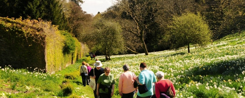 Pentillie Castle Open Gardens