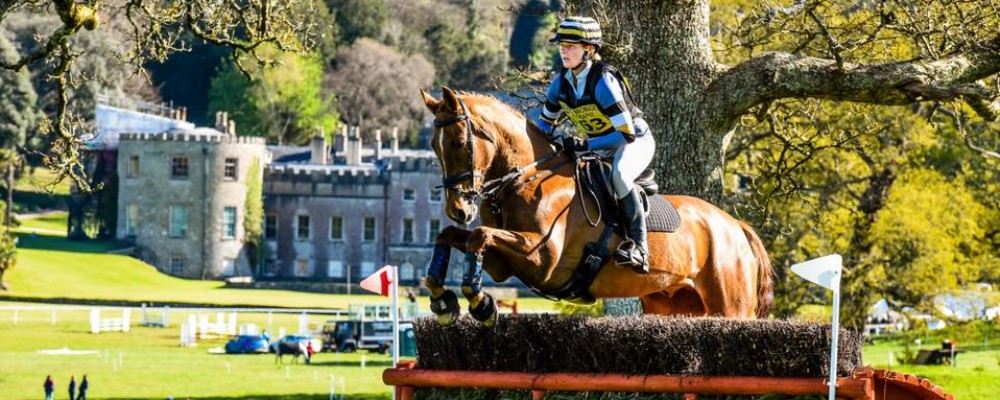 Port Eliot Country Fair