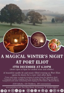 Port Eliot Night Poster