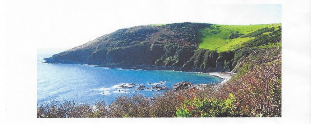 Port Nadler Beach Clean & Picnic