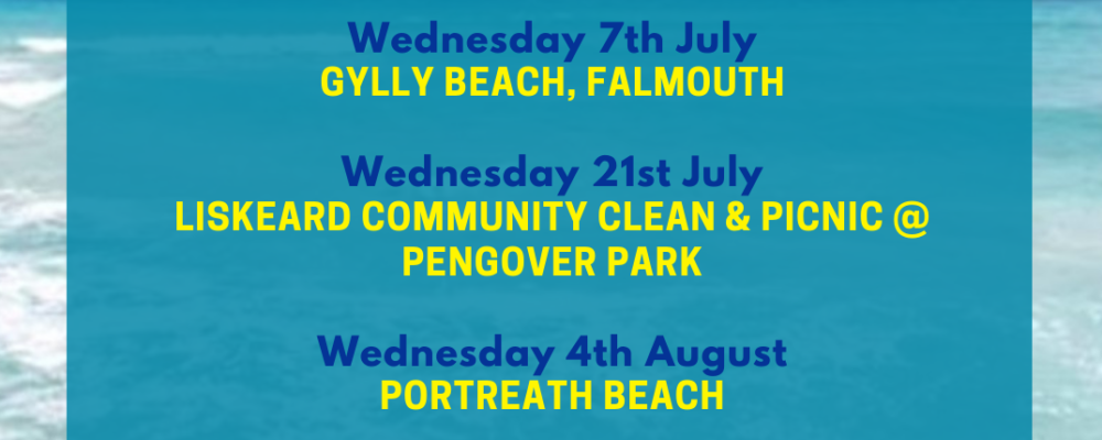 Liskeard Community Clean and Picnic