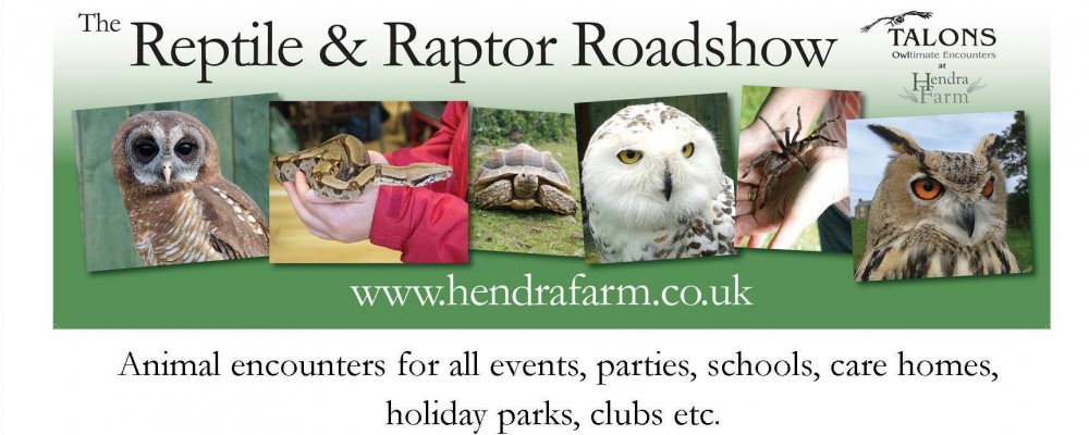 Raptor and Reptile Show