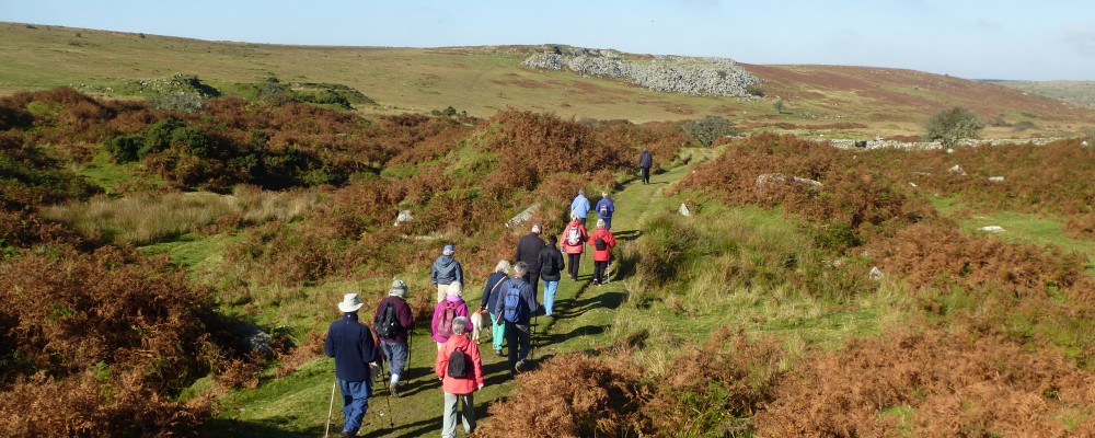 Rosedean House Surgery Walking Group