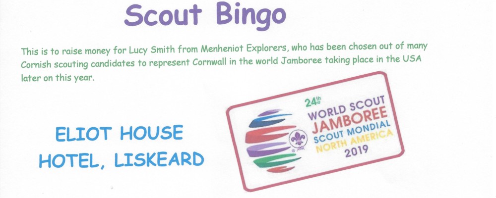 Scout Bingo
