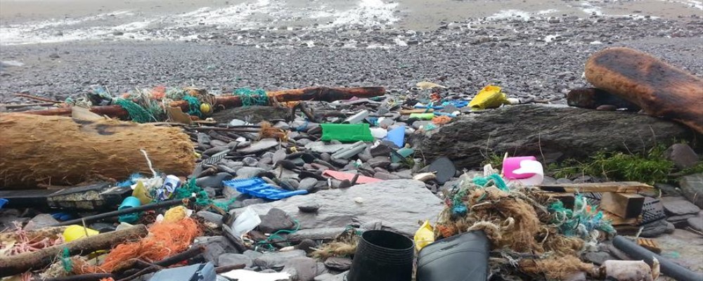Easter Beach Clean