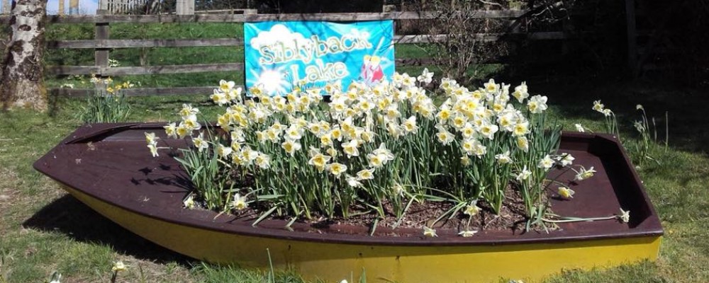 Spring into Action at Siblyback