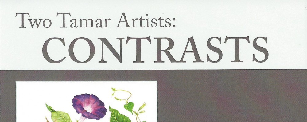 Contrasts Art Exhibition – Tamar Valley Centre
