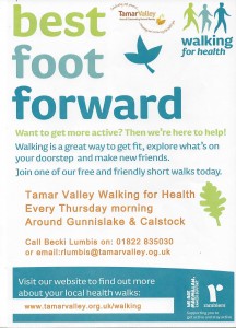 Tamar Valley Walking For Health