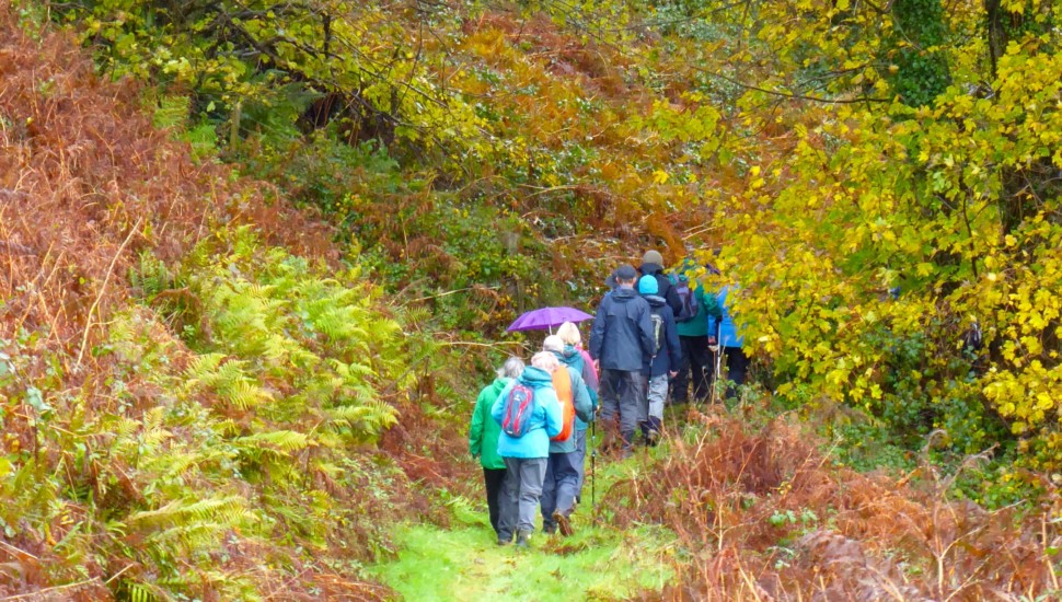 Credit Lorna Shrubsole - Liskeard Walkers Are Welcome