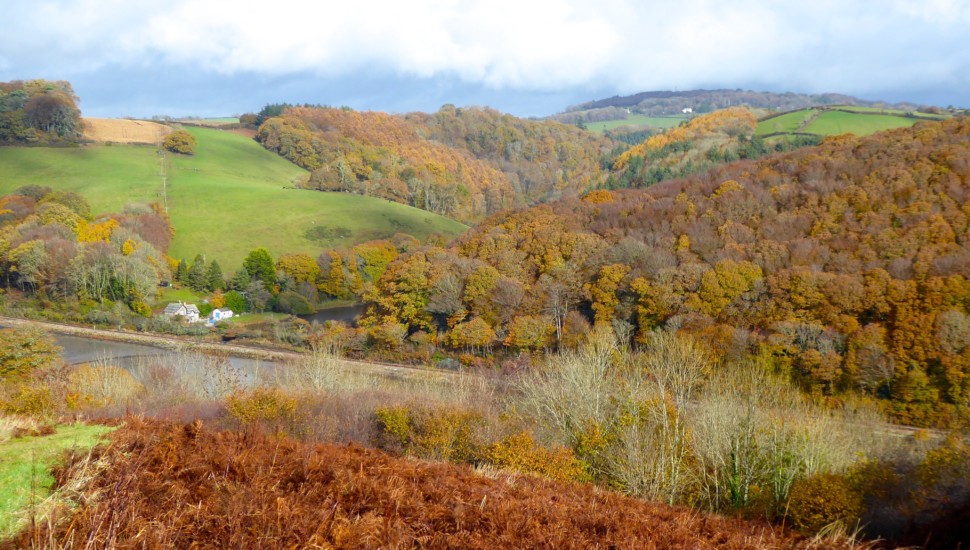 Credit Lorna Shrubsole - Liskeard Walkers Are Welcome