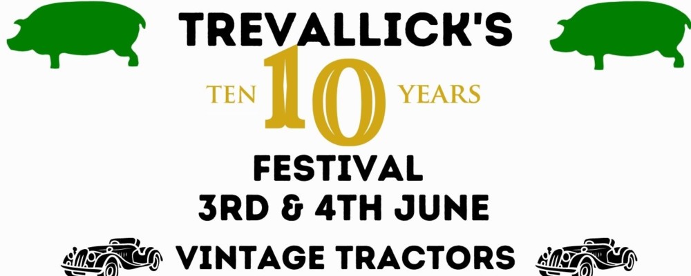 Trevallicks 10 year Festival
