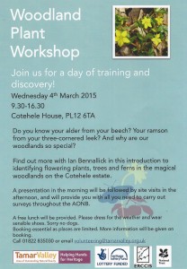 Woodland Plant Workshop