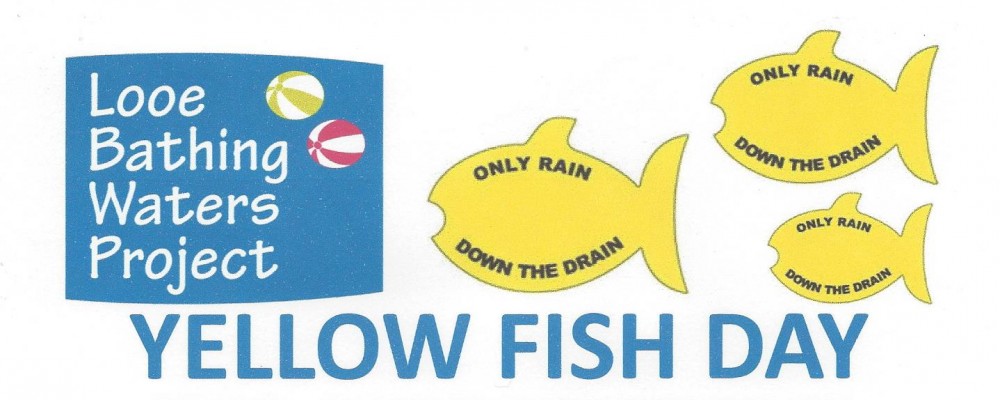 Yellow Fish Day