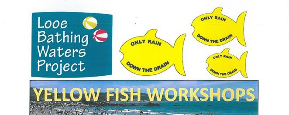 Yellow Fish Day Workshops