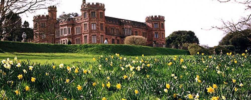 Outdoor Cinema at Mount Edgecumbe