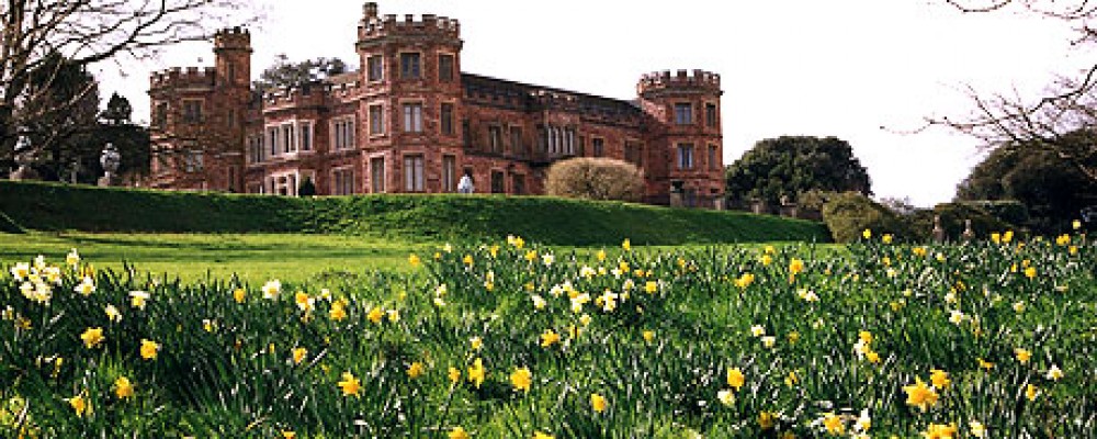 Going Bats at Mount Edgcumbe
