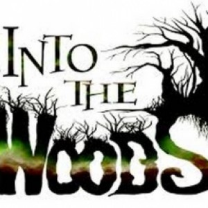 into_the_woodsImage