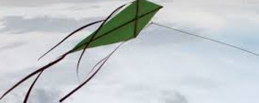 Let’s Go Fly a Kite at Antony, Torpoint